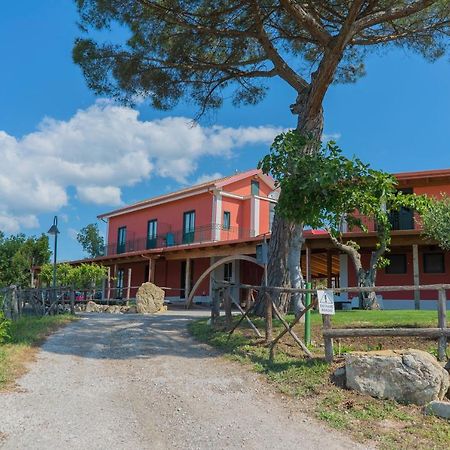 Bed and Breakfast Terra Di Vento à Montecorvino Pugliano Extérieur photo