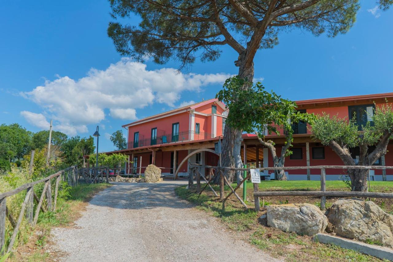 Bed and Breakfast Terra Di Vento à Montecorvino Pugliano Extérieur photo